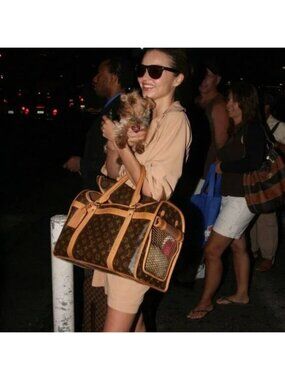 Louis Vuitton Sac Chien 40 dog Carrier Monogram Pet Travel Bag Purse